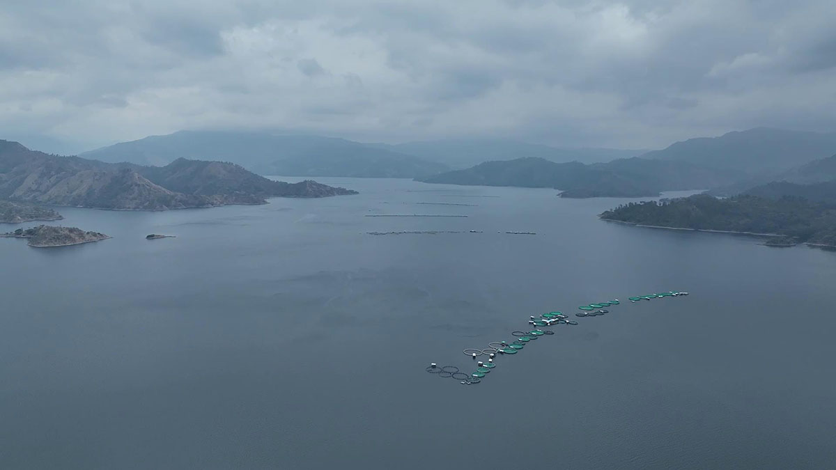 洪都拉斯养殖场00-00-1320240301-111012585