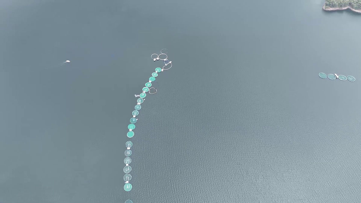 洪都拉斯养殖场00-00-2920240301-111116771